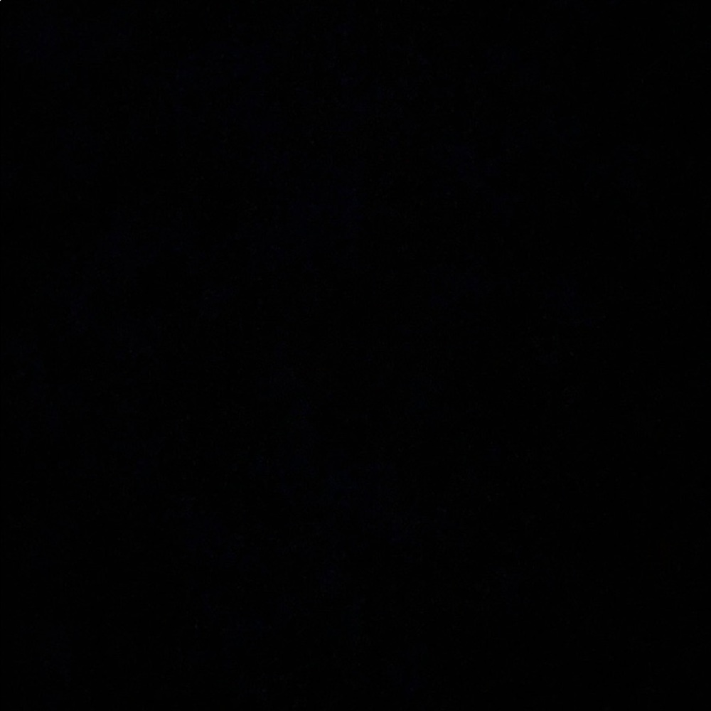 Meet your Posher, Patty